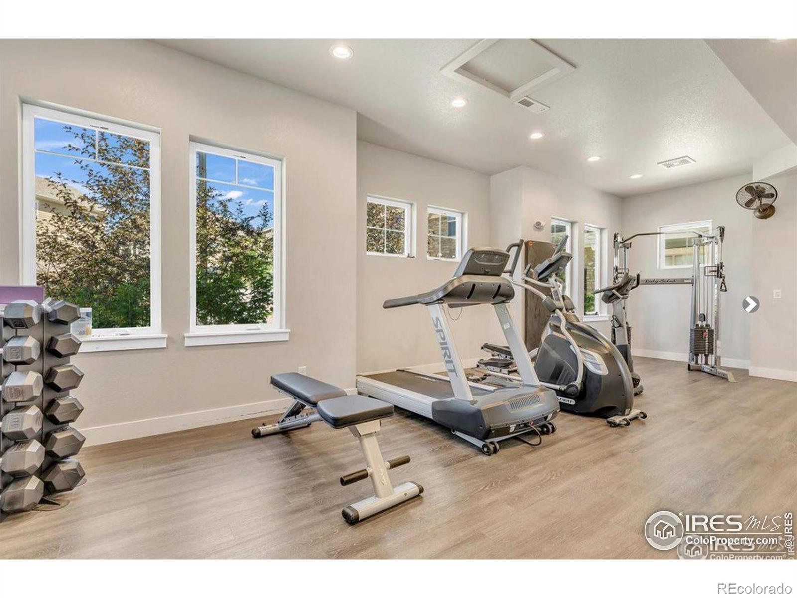 MLS Image #26 for 4622  hahns peak drive,loveland, Colorado