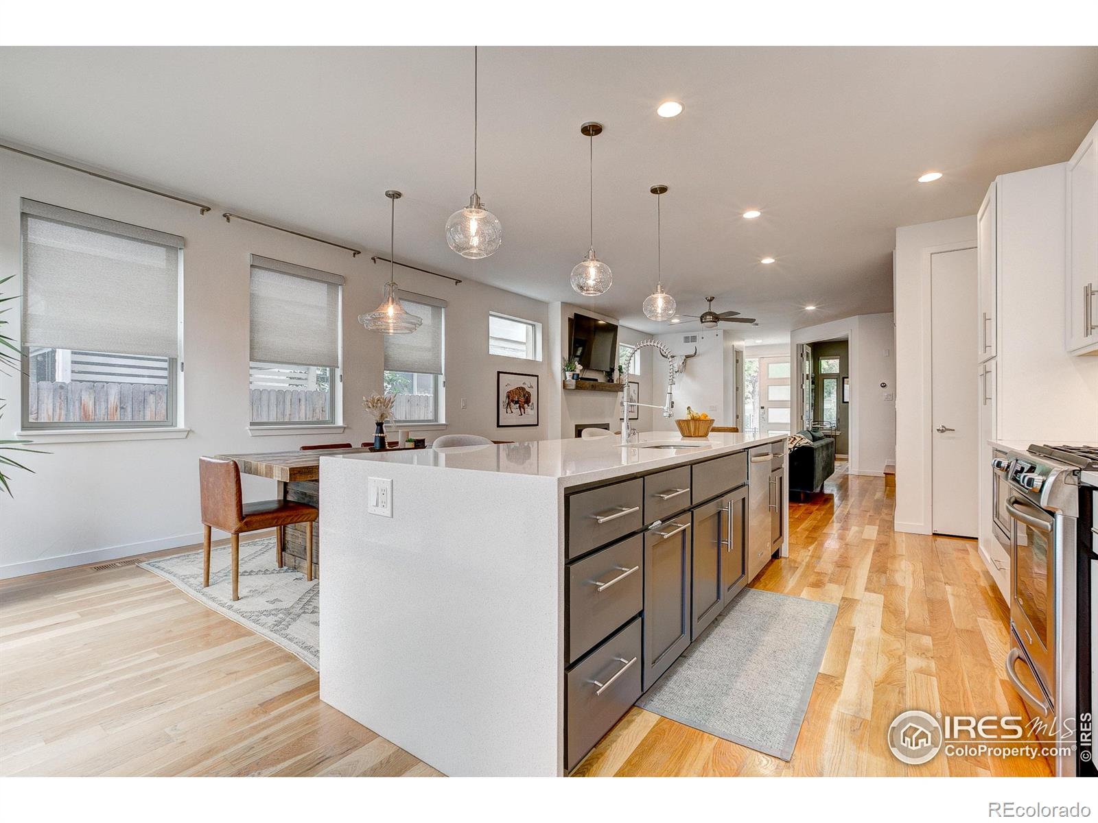 MLS Image #13 for 3847 n raleigh street,denver, Colorado