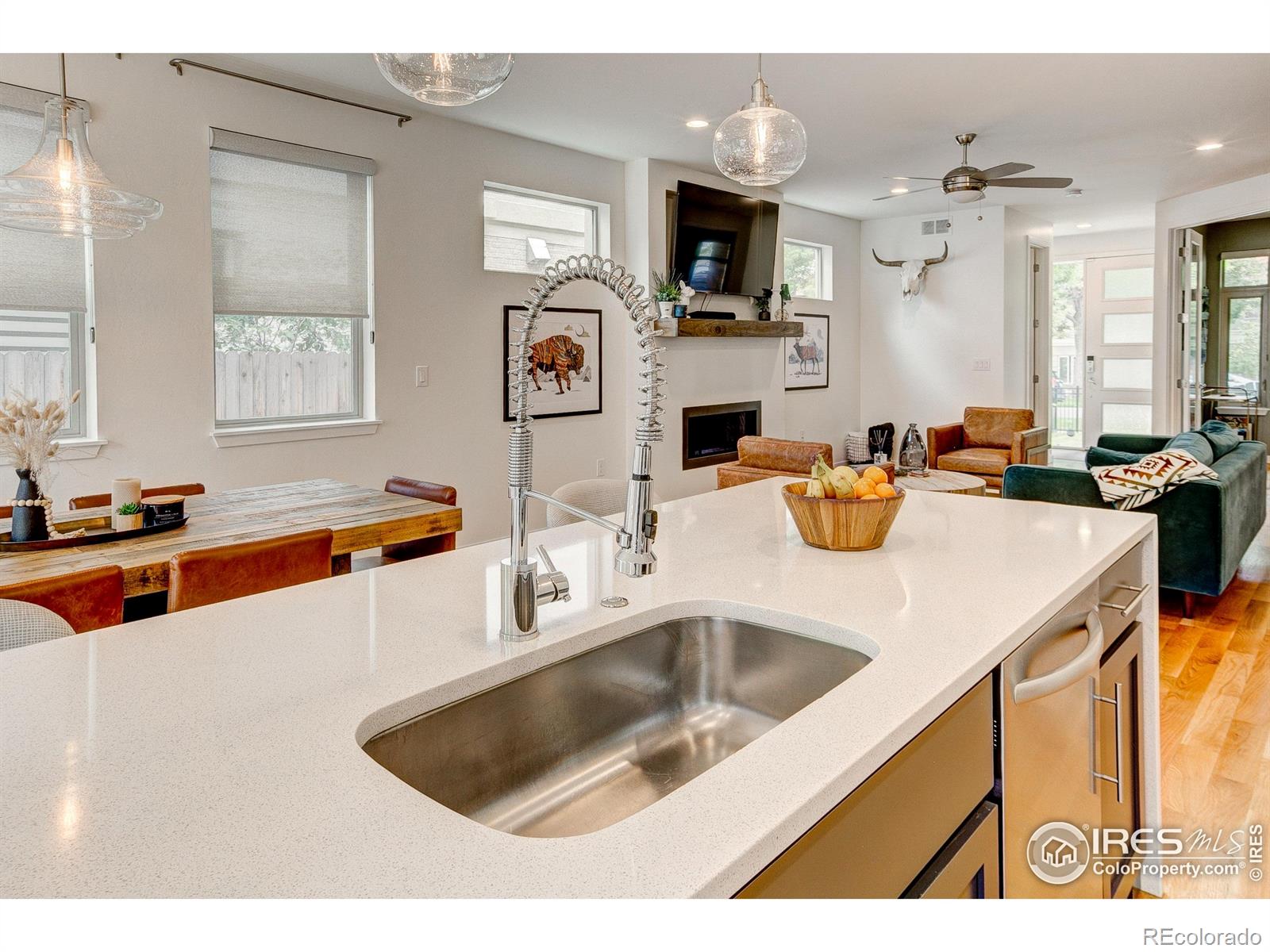 MLS Image #14 for 3847 n raleigh street,denver, Colorado