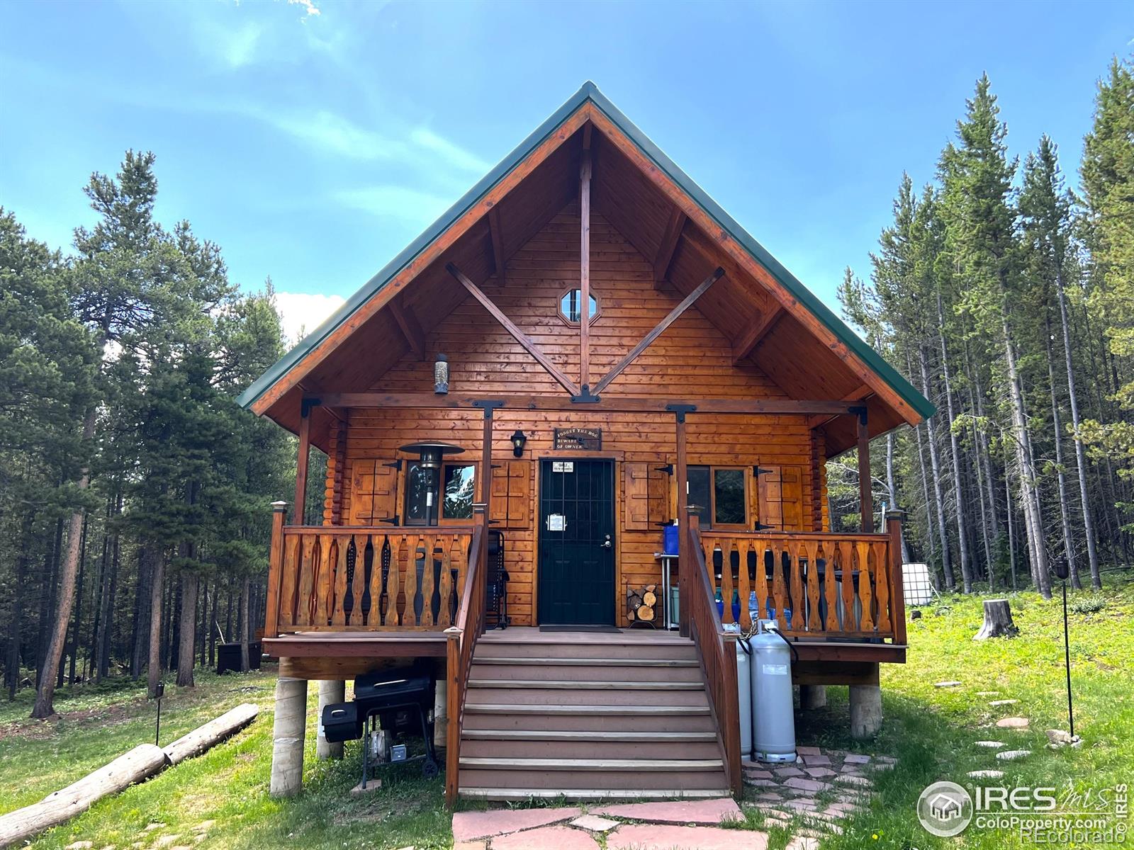 MLS Image #0 for 10000  forest service road 169 ,red feather lakes, Colorado