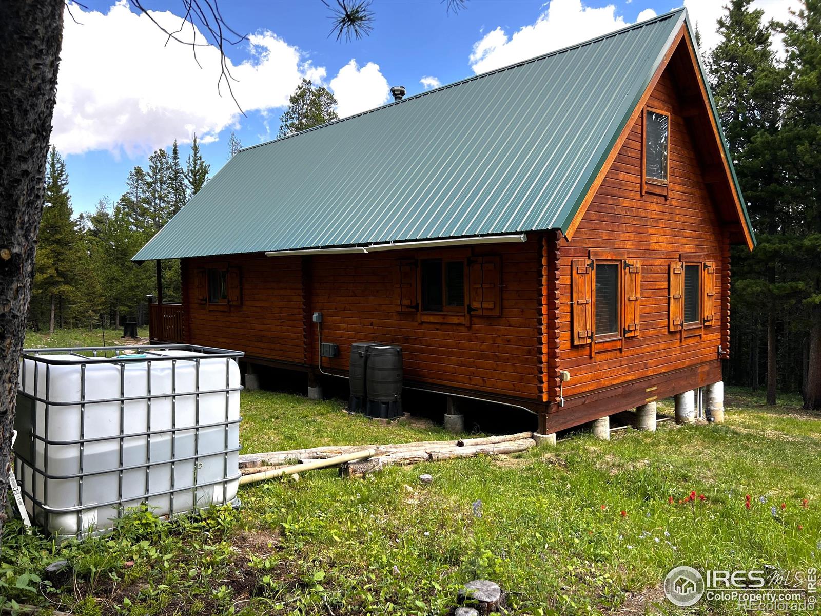 MLS Image #18 for 10000  forest service road 169 ,red feather lakes, Colorado