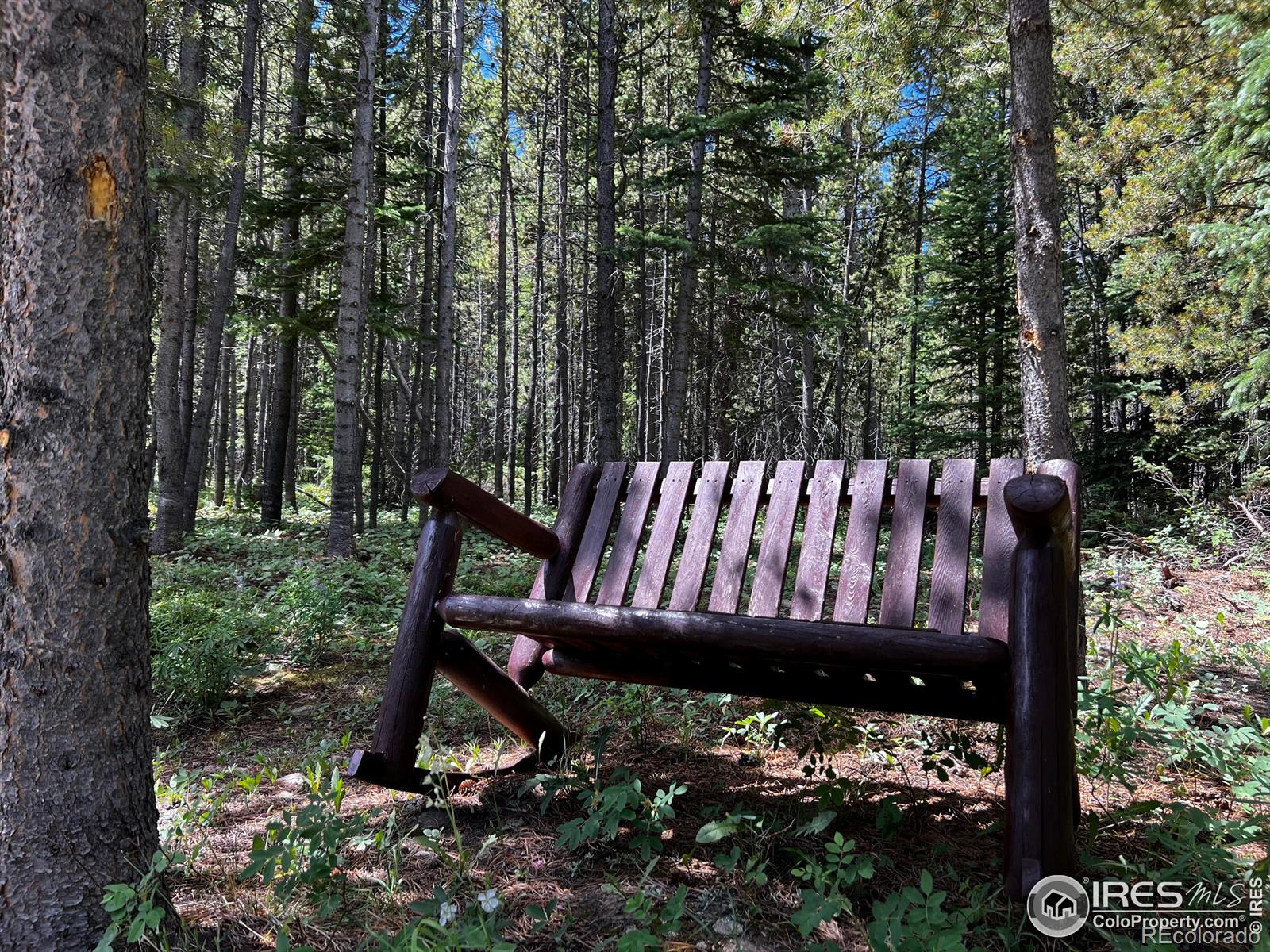 MLS Image #22 for 10000  forest service road 169 ,red feather lakes, Colorado
