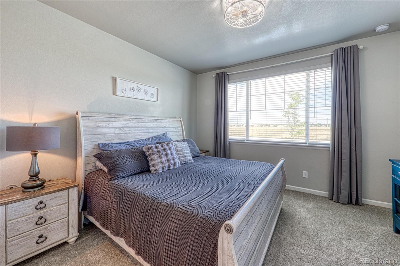 MLS Image #10 for 2540  brookstone drive,milliken, Colorado