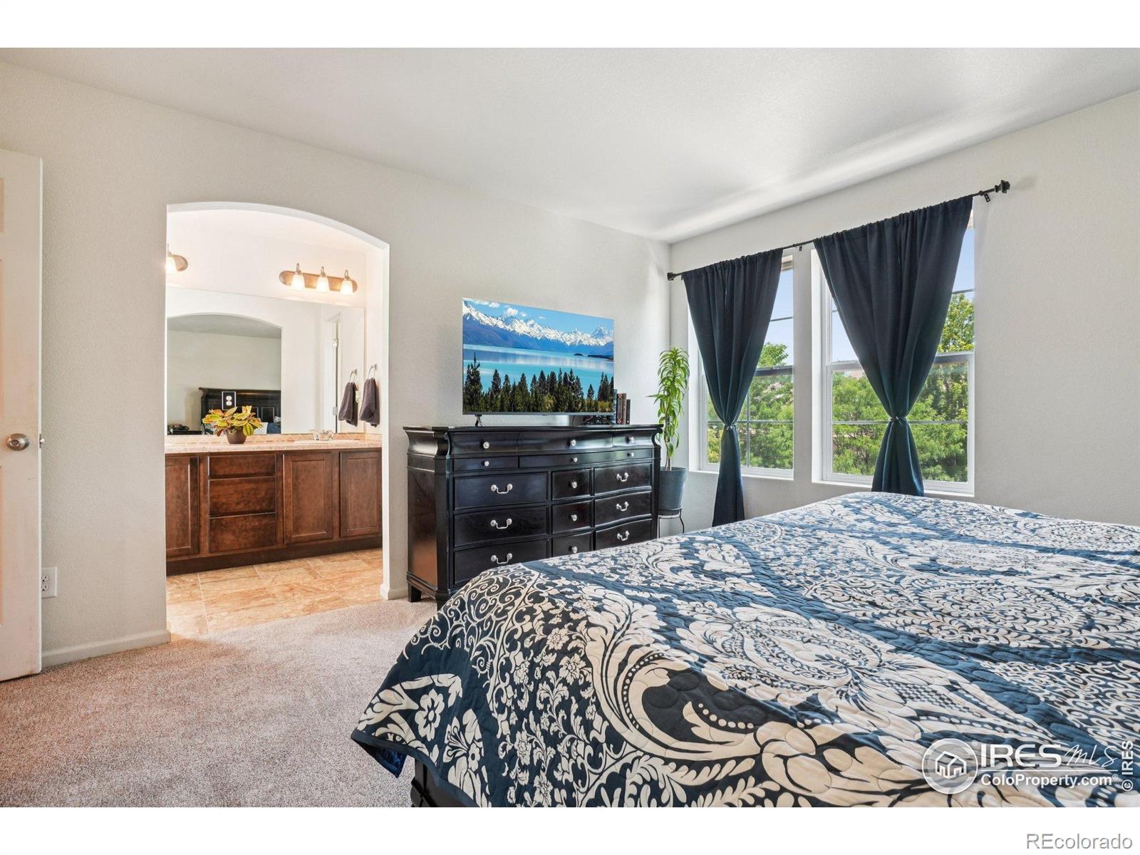 MLS Image #16 for 3806  balsawood lane,johnstown, Colorado