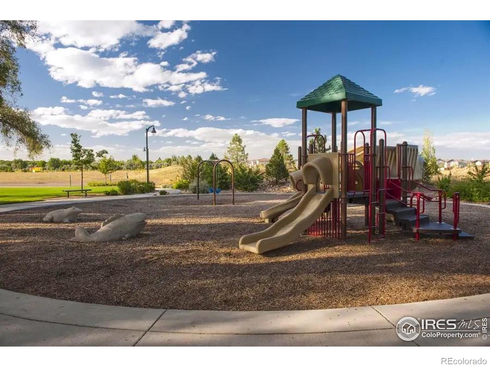 MLS Image #38 for 3806  balsawood lane,johnstown, Colorado