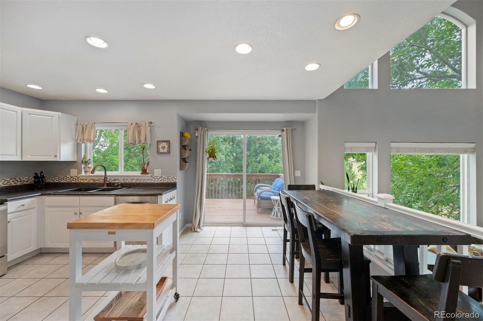 MLS Image #8 for 9024  sanderling way,littleton, Colorado