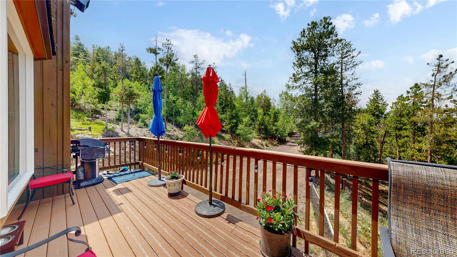 MLS Image #30 for 6936  skunk alley,evergreen, Colorado