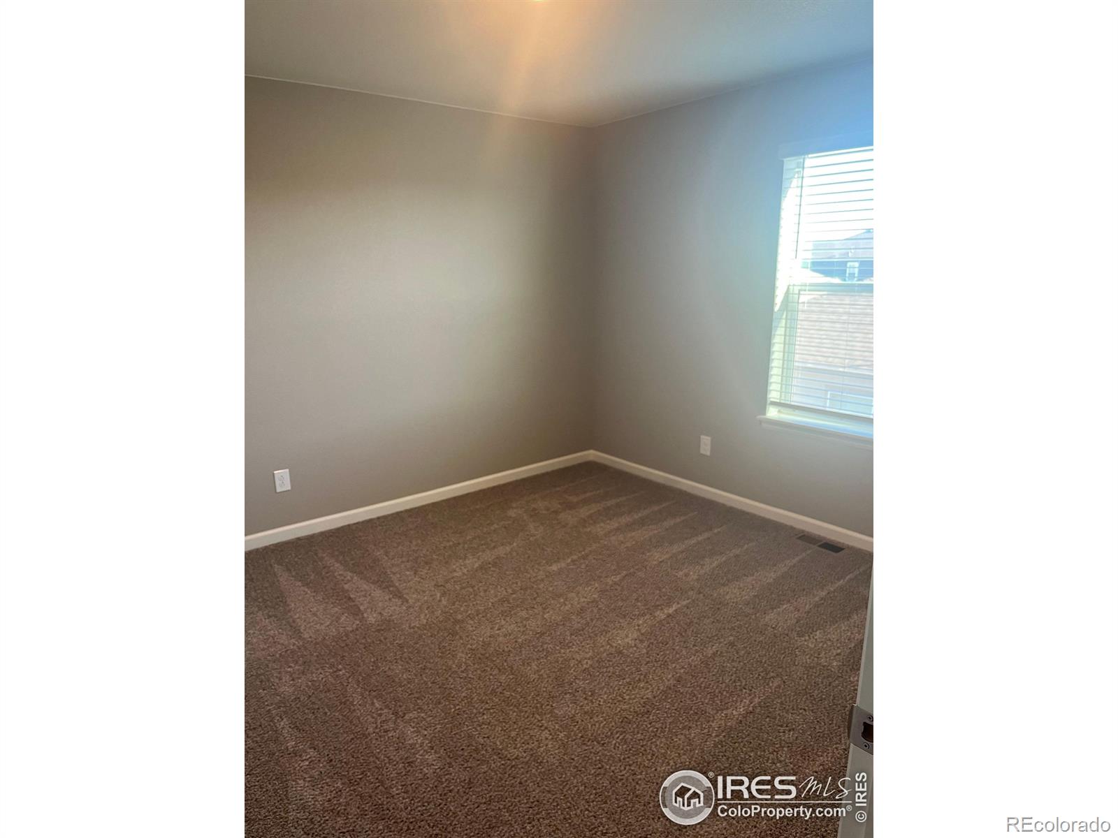 MLS Image #10 for 4529  kingswood drive,windsor, Colorado