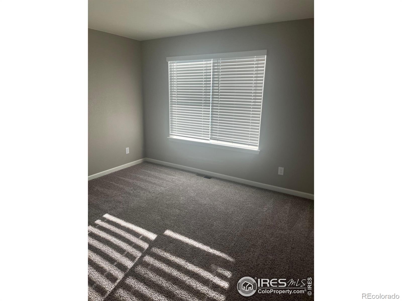MLS Image #5 for 4529  kingswood drive,windsor, Colorado