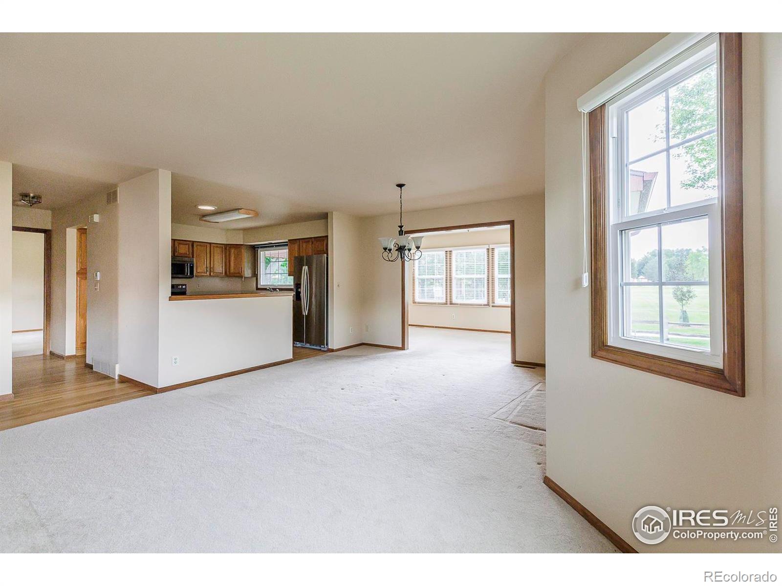 MLS Image #11 for 2623  elmhurst circle,longmont, Colorado