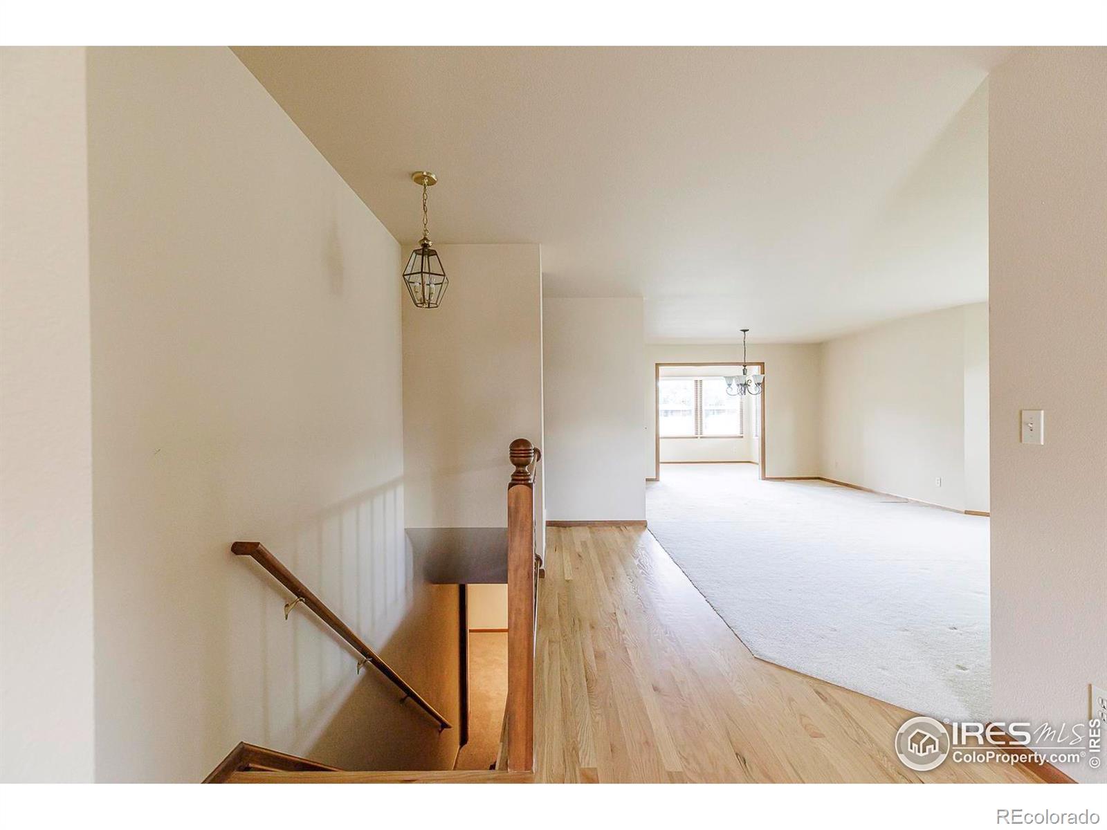 MLS Image #3 for 2623  elmhurst circle,longmont, Colorado