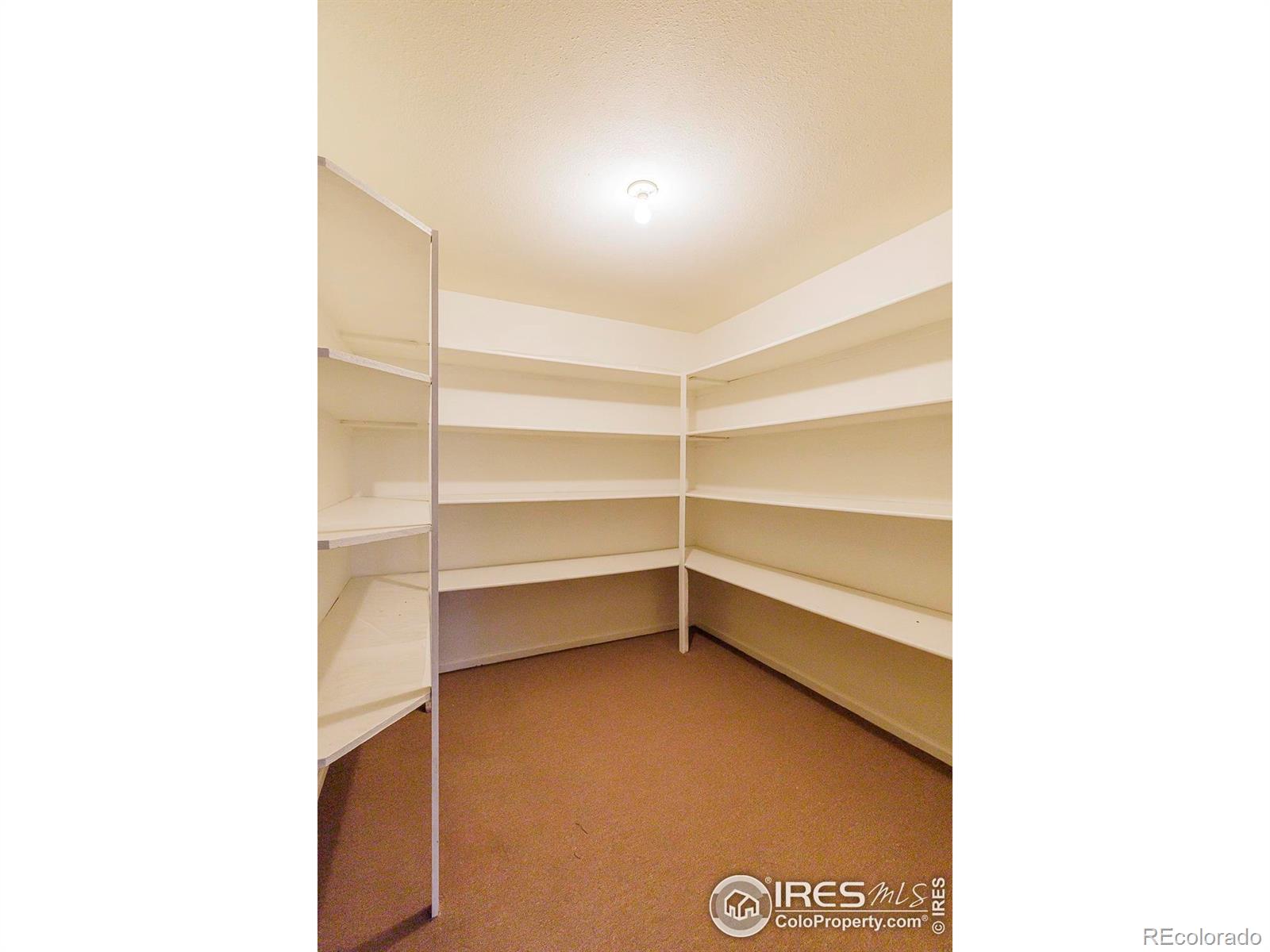 MLS Image #33 for 2623  elmhurst circle,longmont, Colorado