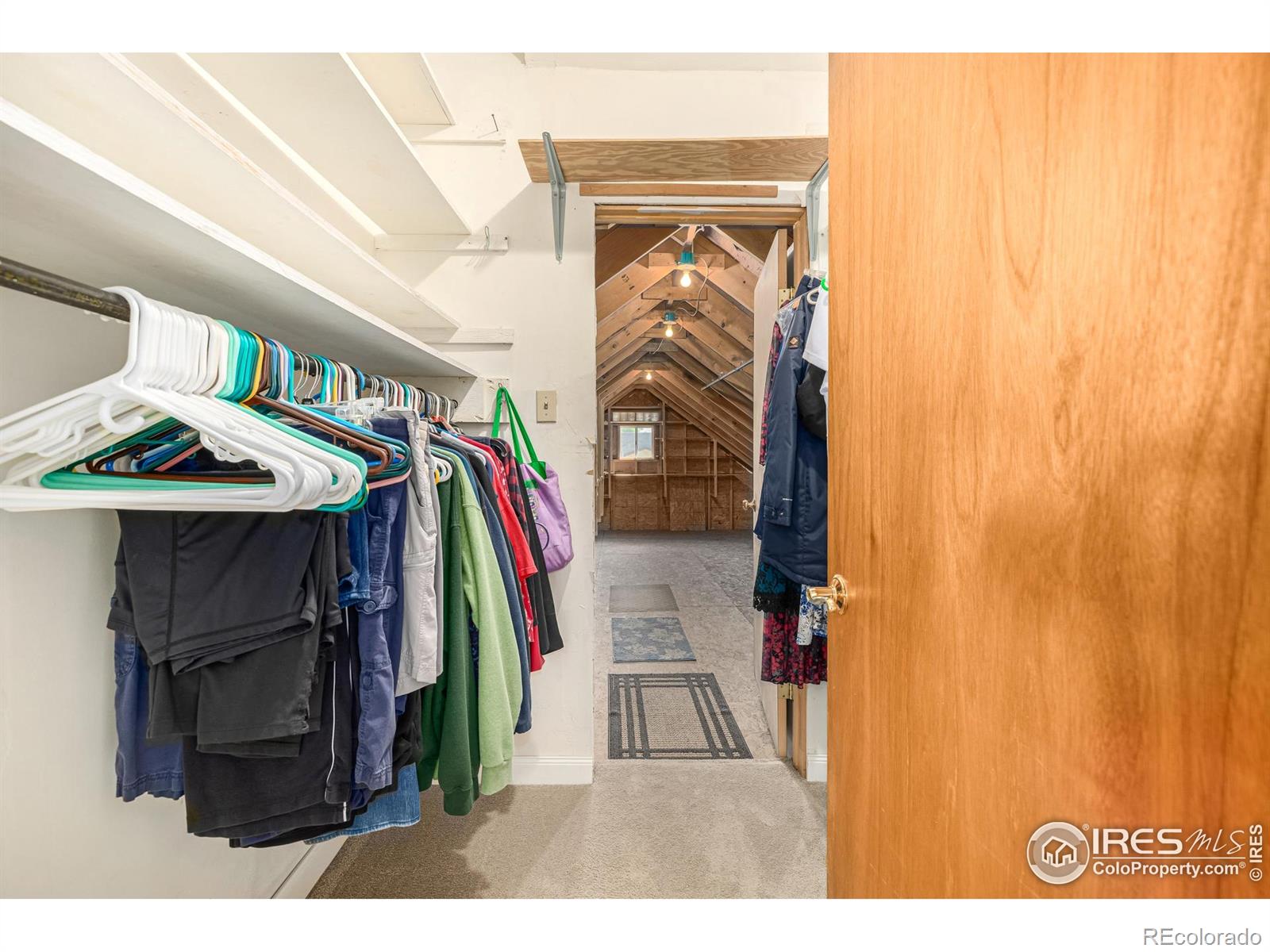 MLS Image #13 for 1110  hover street,longmont, Colorado