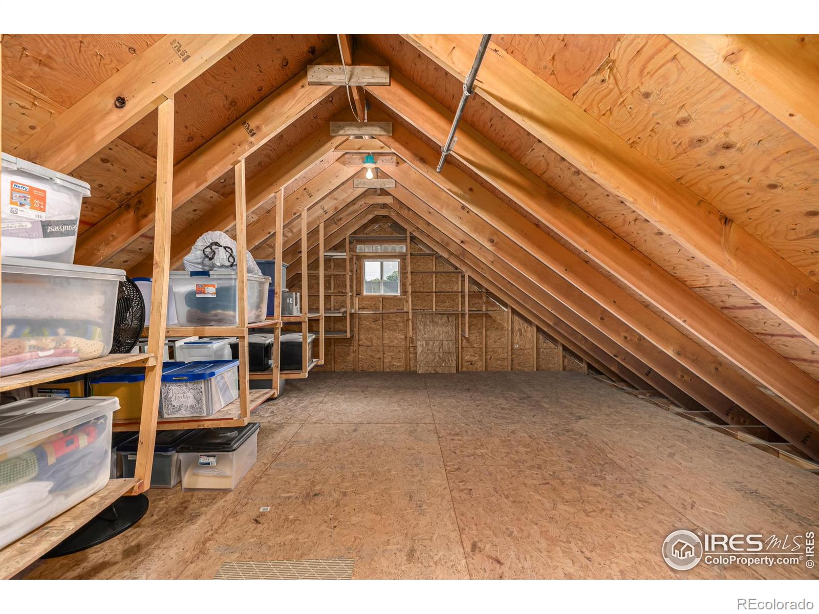 MLS Image #14 for 1110  hover street,longmont, Colorado