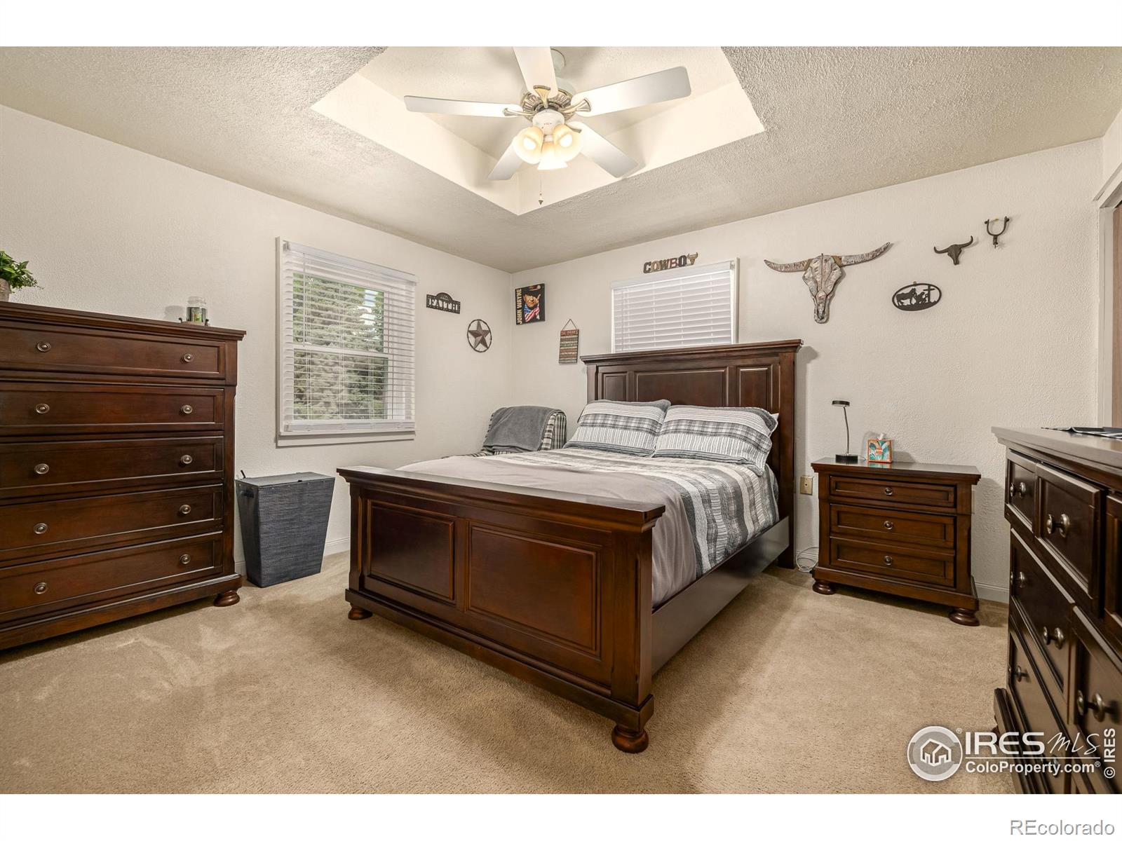 MLS Image #17 for 1110  hover street,longmont, Colorado