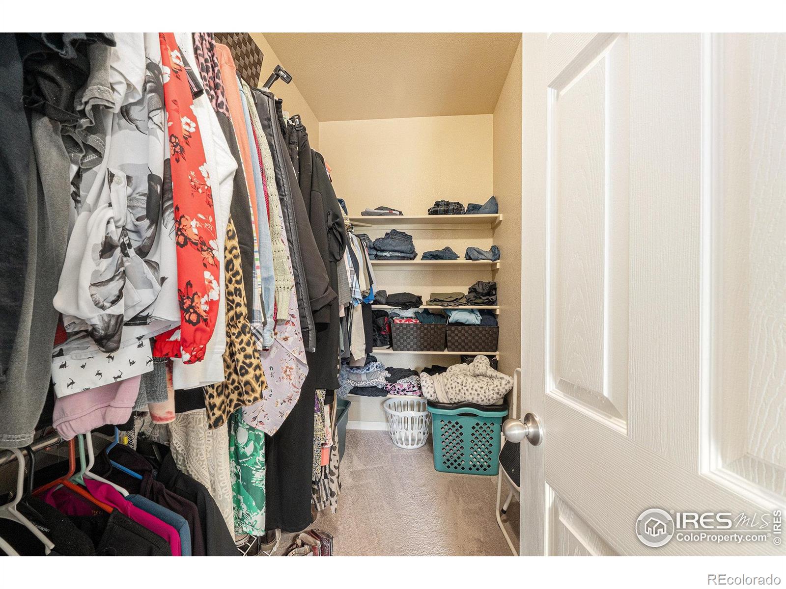 MLS Image #13 for 1109  101st ave ct,greeley, Colorado