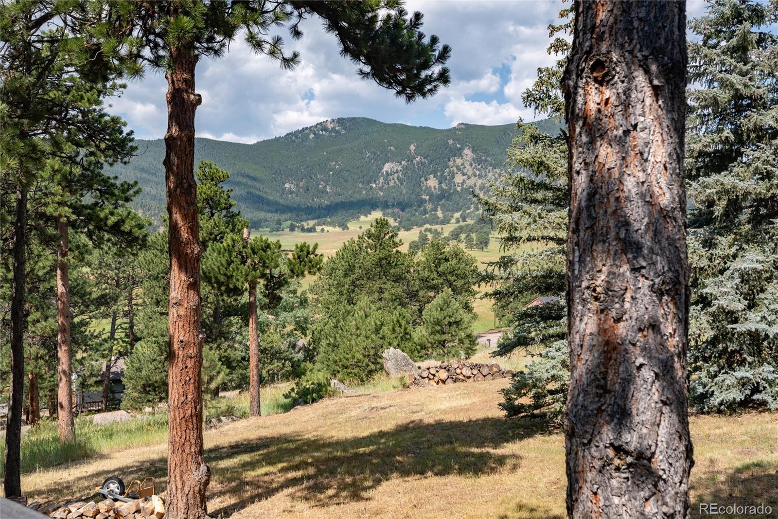 MLS Image #43 for 2529  medinah drive,evergreen, Colorado