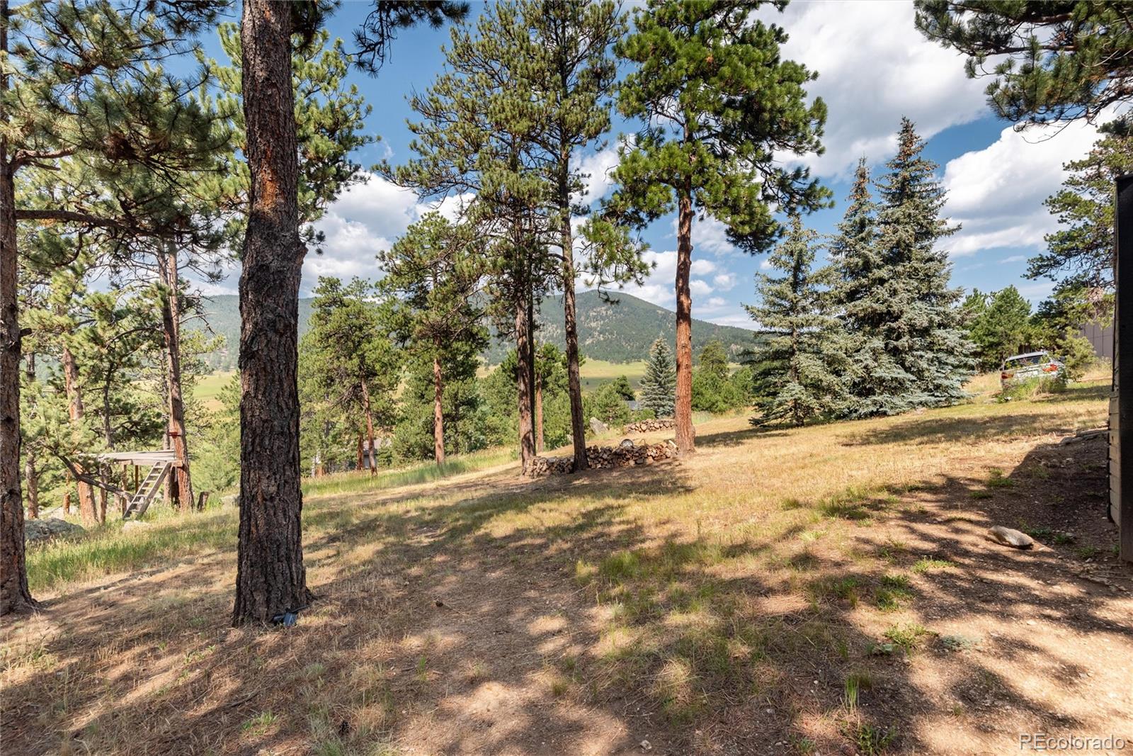 MLS Image #44 for 2529  medinah drive,evergreen, Colorado