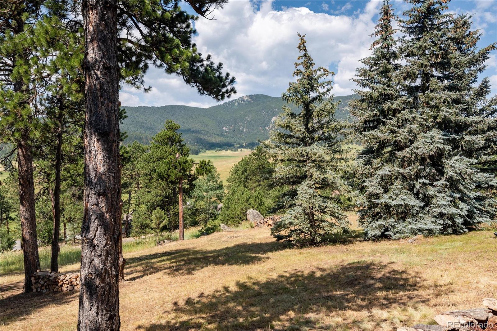 MLS Image #46 for 2529  medinah drive,evergreen, Colorado