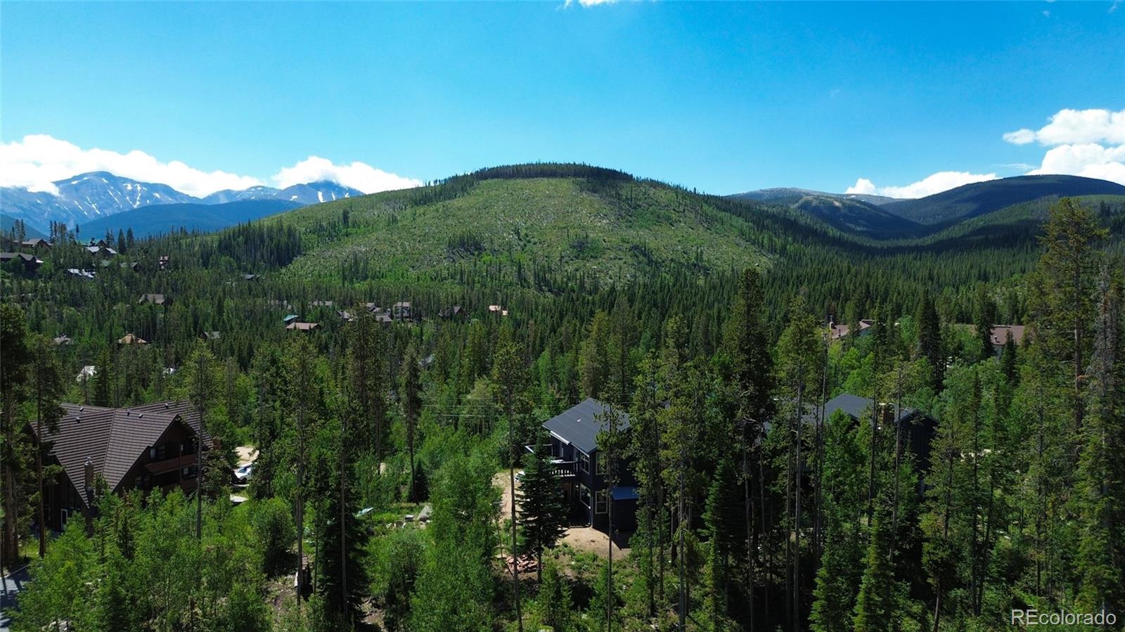 MLS Image #2 for 121  elk trail,winter park, Colorado