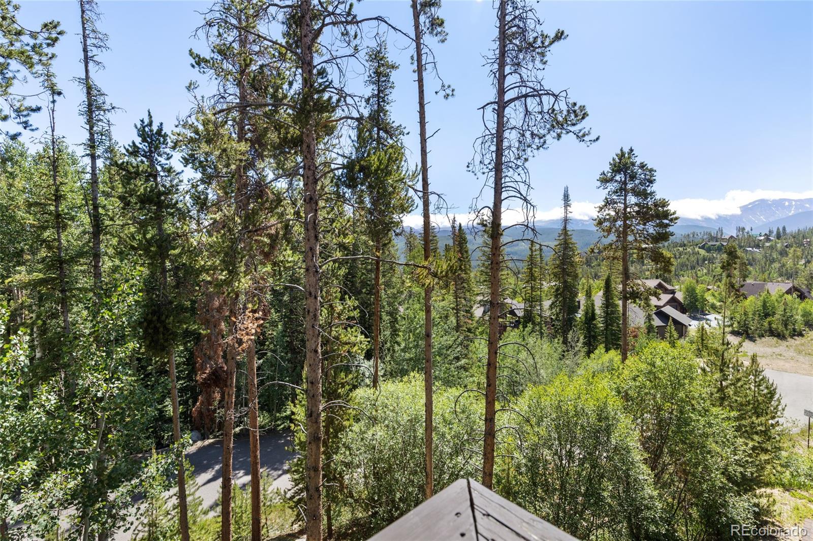 MLS Image #36 for 121  elk trail,winter park, Colorado