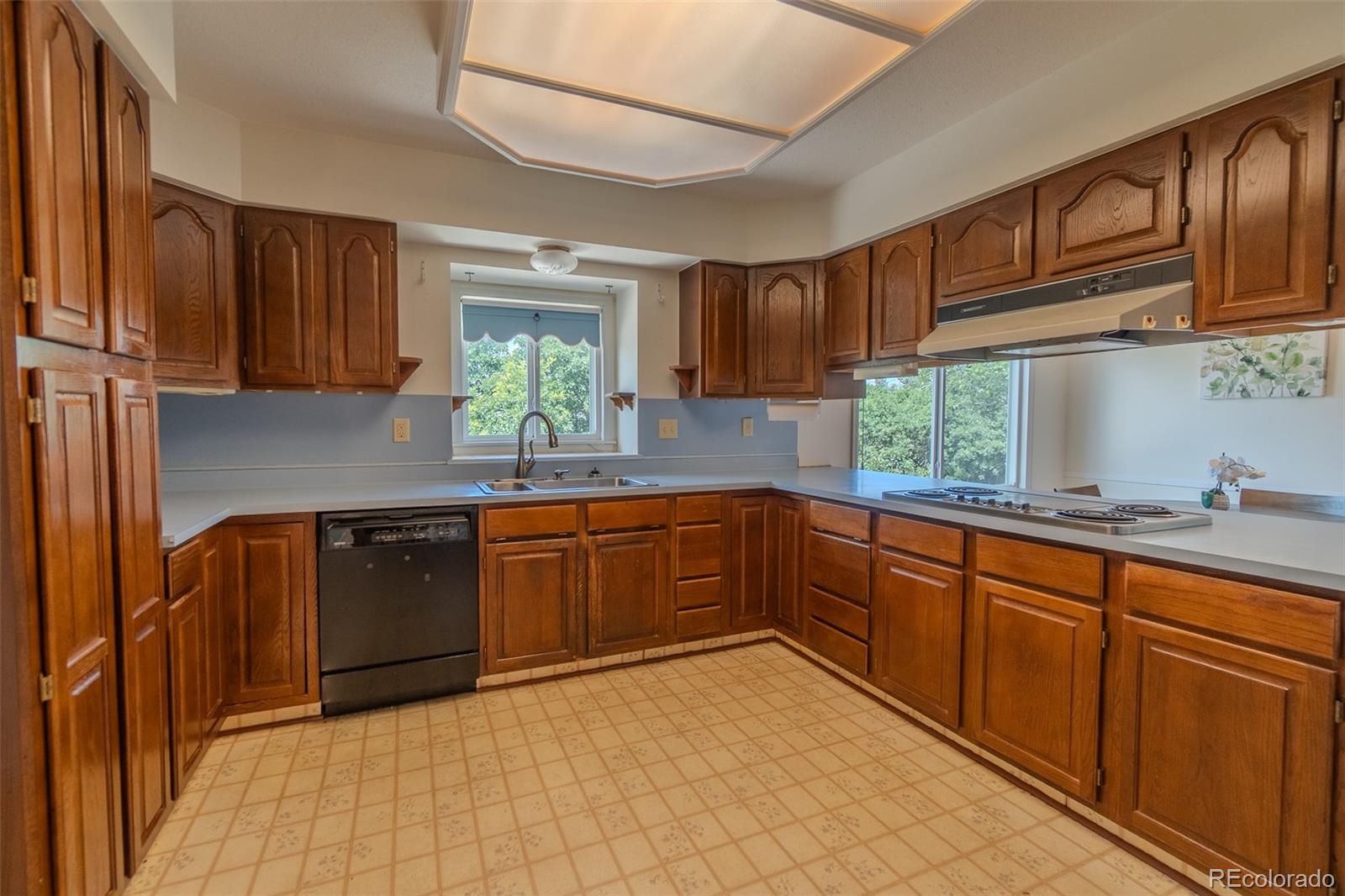 MLS Image #15 for 15049  lajolla place,colorado springs, Colorado