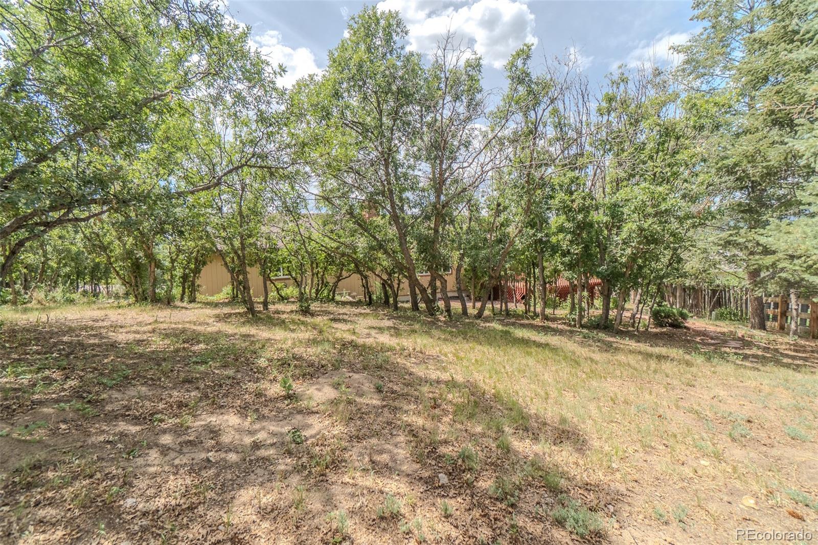 MLS Image #41 for 15049  lajolla place,colorado springs, Colorado