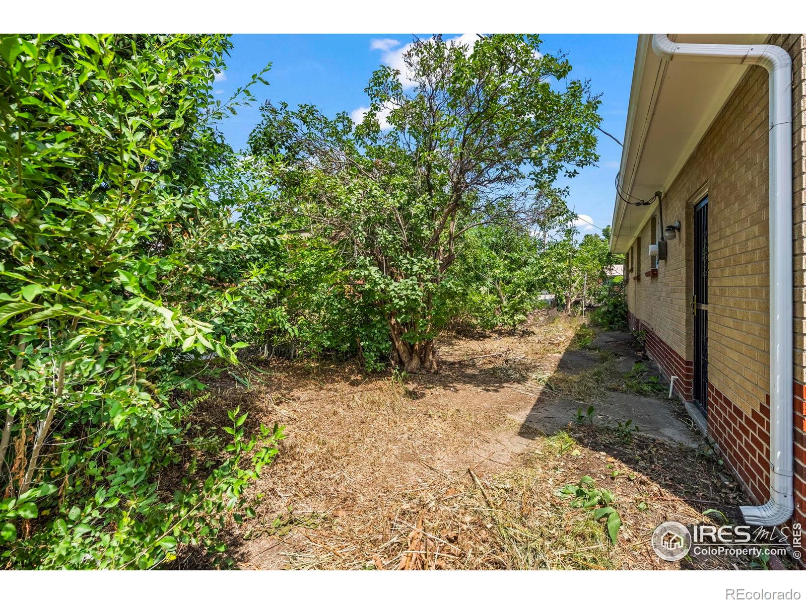 MLS Image #17 for 9605 w 51st place,arvada, Colorado