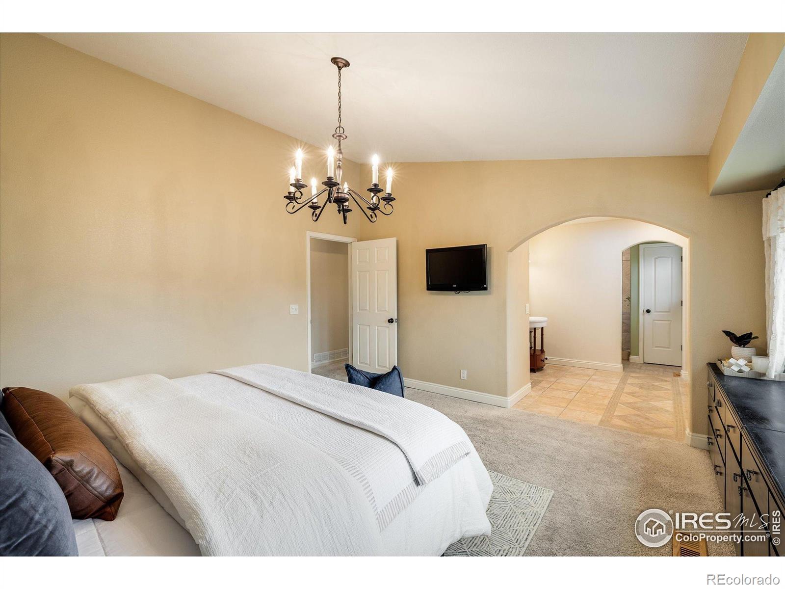 MLS Image #16 for 8485 s piney point street,highlands ranch, Colorado
