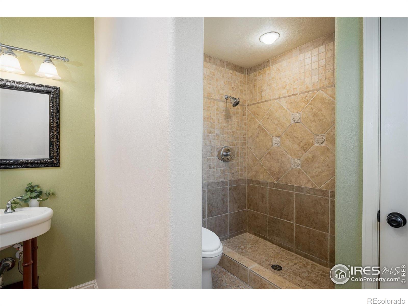 MLS Image #17 for 8485 s piney point street,highlands ranch, Colorado