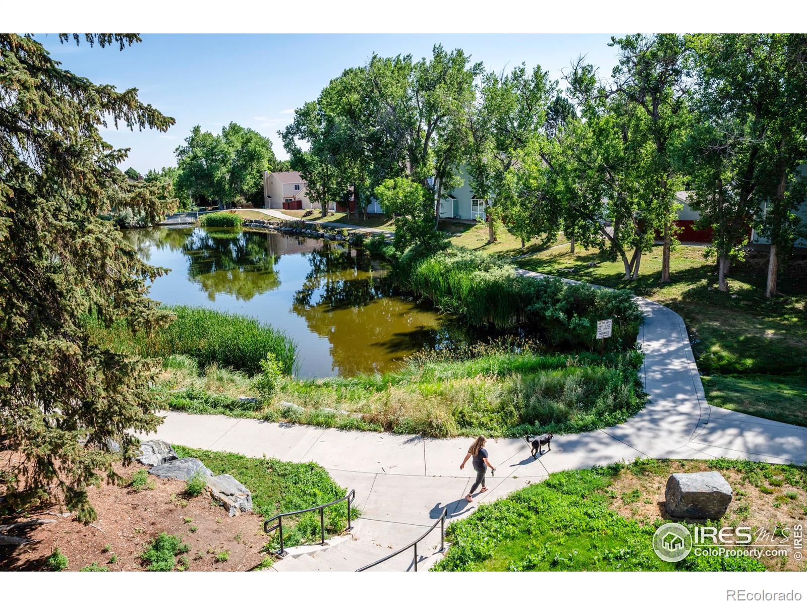 MLS Image #16 for 12126  melody drive 304,westminster, Colorado