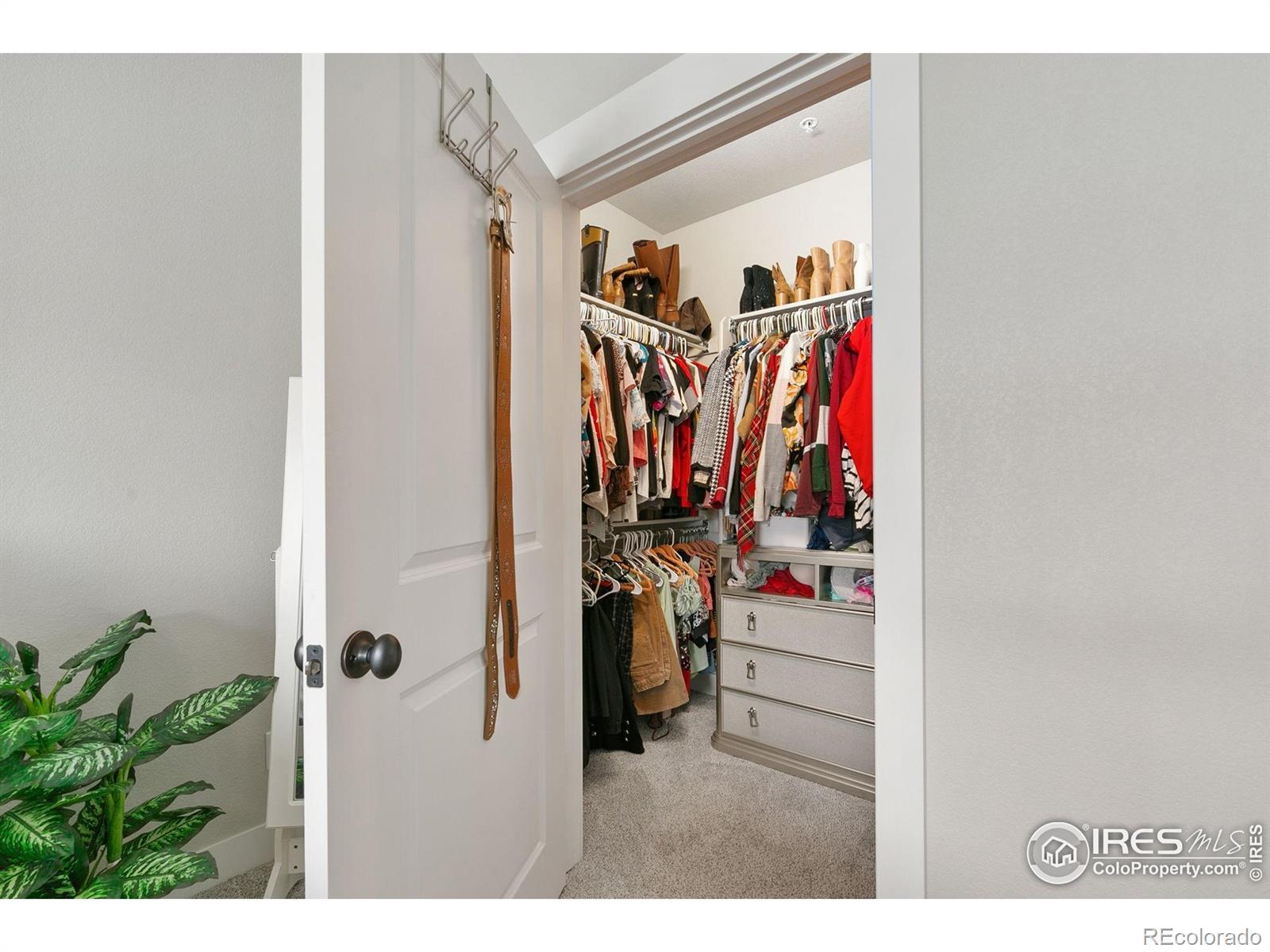 MLS Image #14 for 6582  crystal downs drive,windsor, Colorado