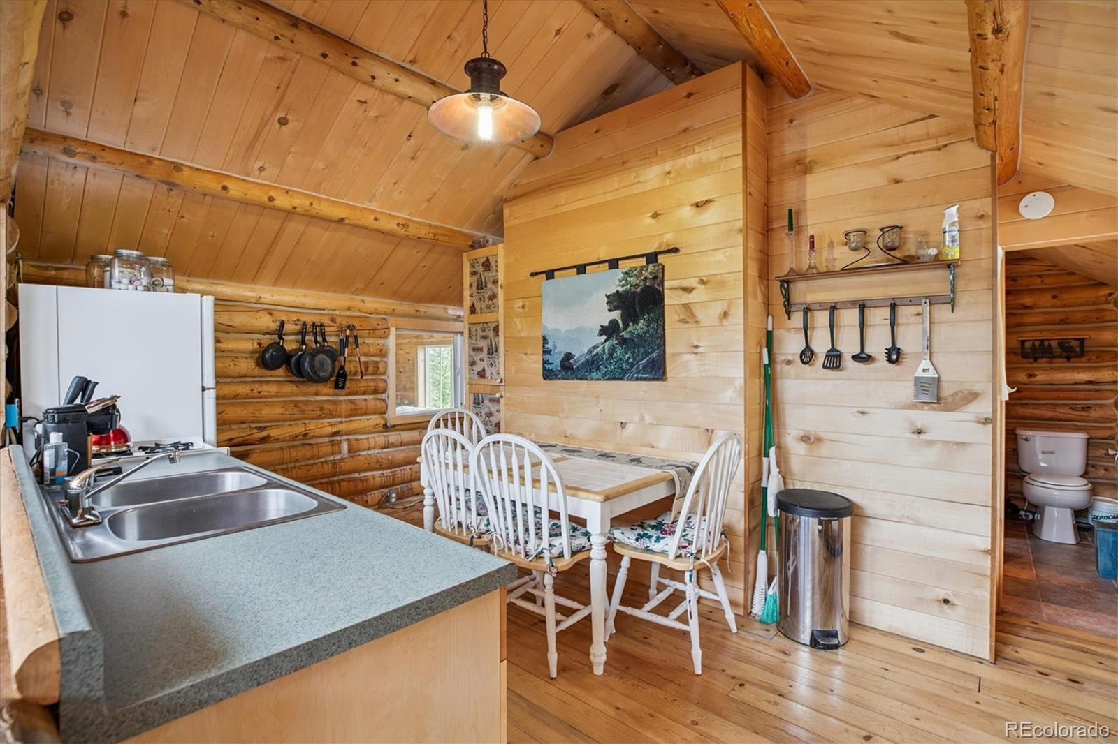 MLS Image #10 for 379  raven drive,idaho springs, Colorado
