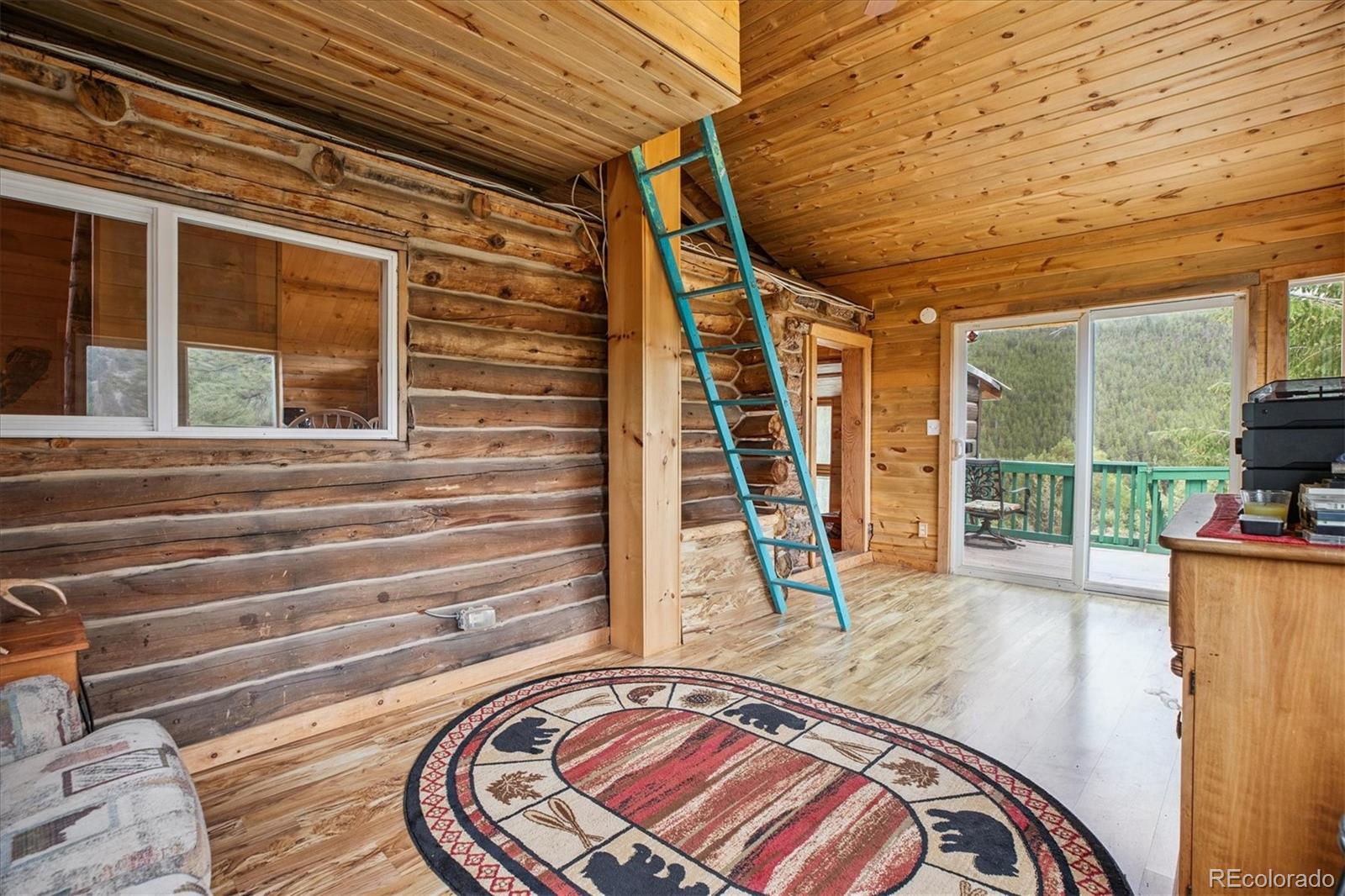 MLS Image #13 for 379  raven drive,idaho springs, Colorado