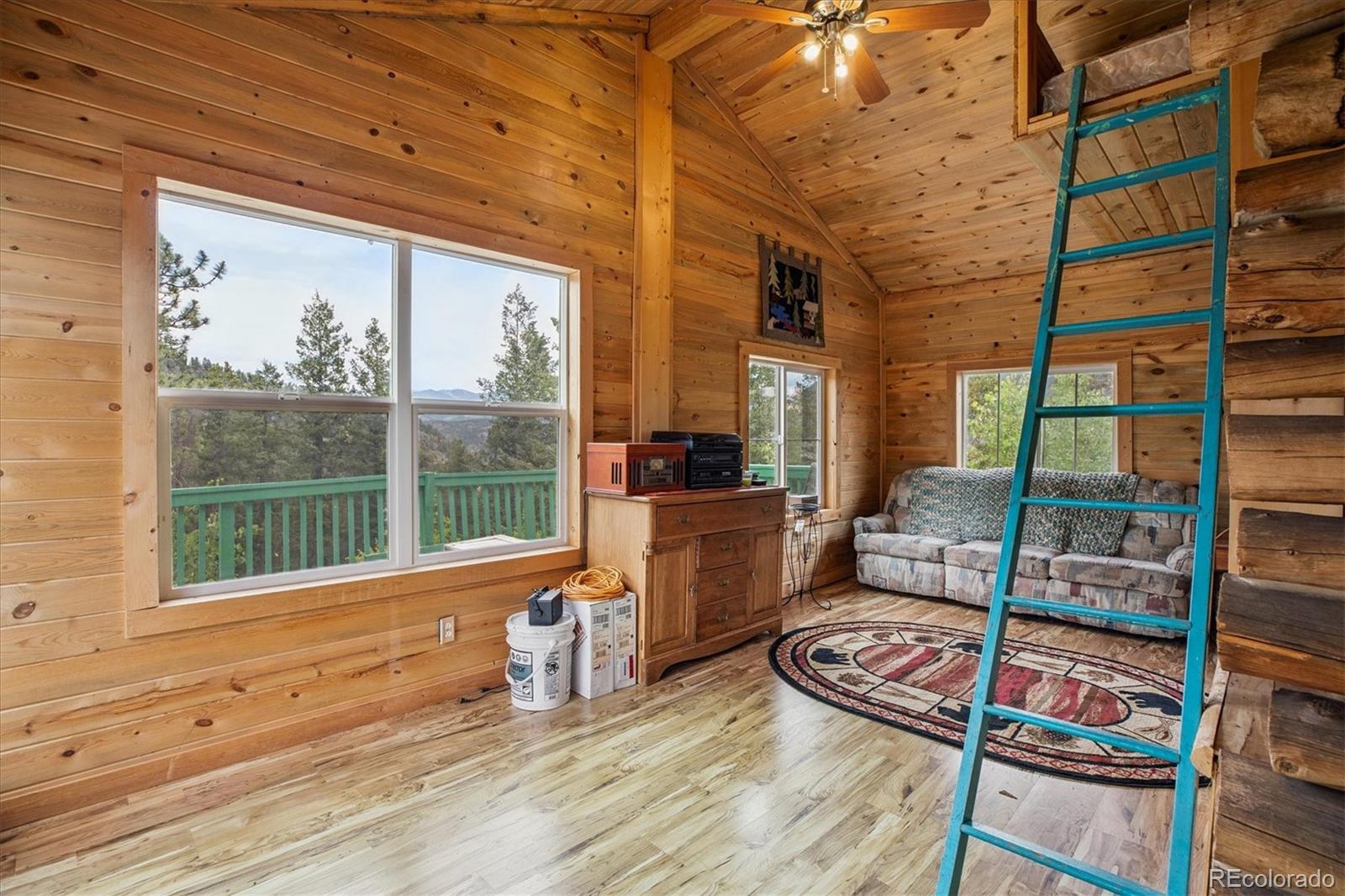 MLS Image #14 for 379  raven drive,idaho springs, Colorado