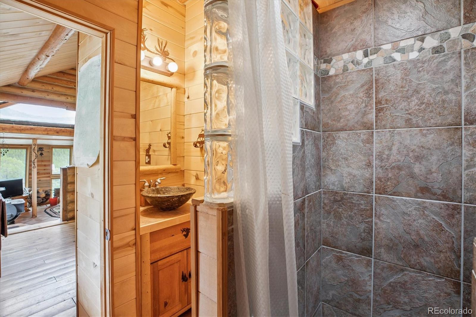 MLS Image #16 for 379  raven drive,idaho springs, Colorado