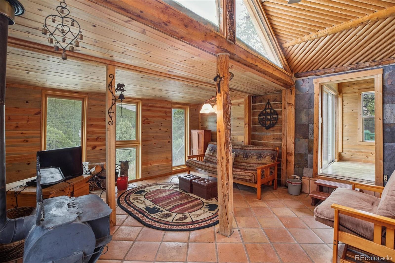 MLS Image #6 for 379  raven drive,idaho springs, Colorado