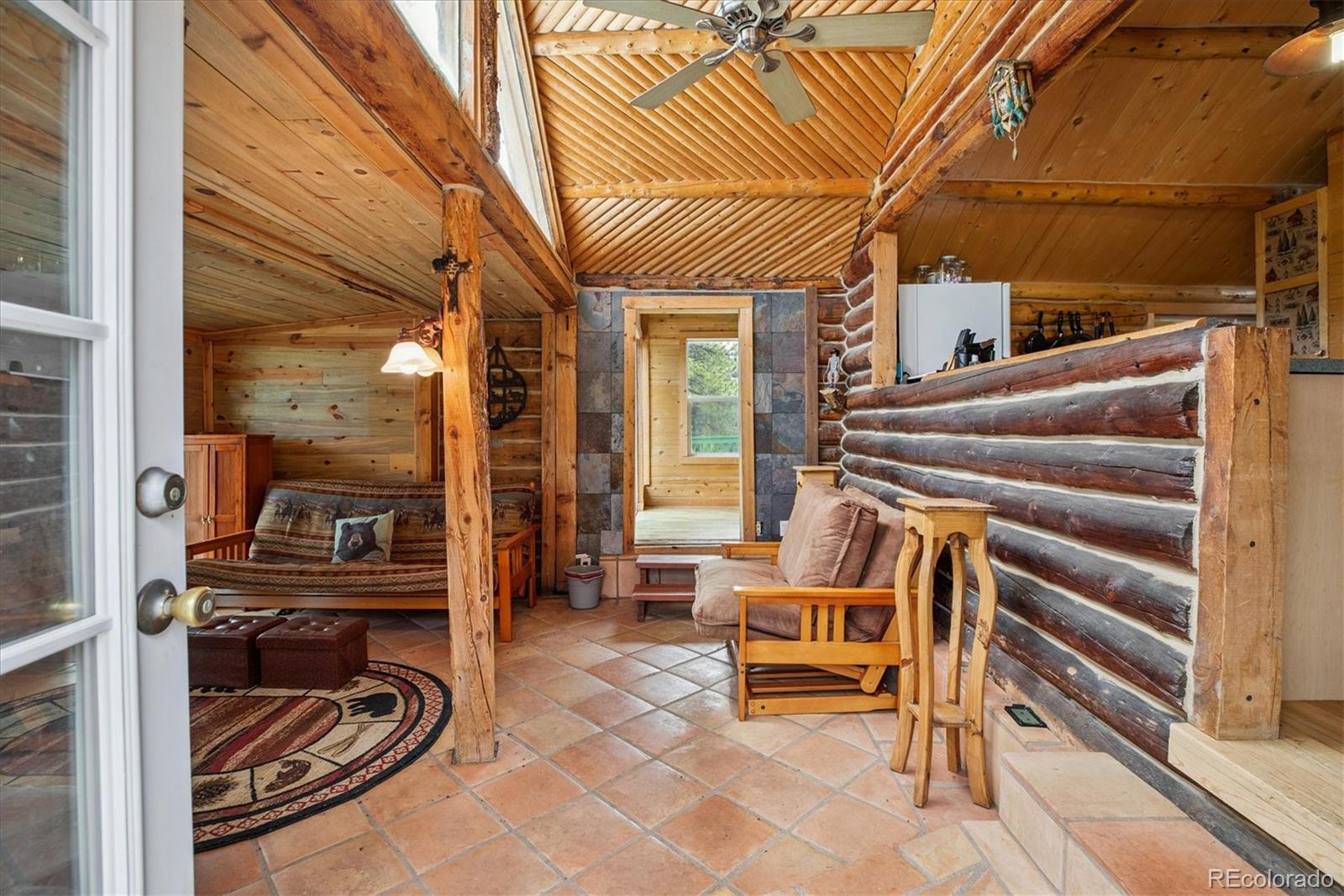 MLS Image #8 for 379  raven drive,idaho springs, Colorado