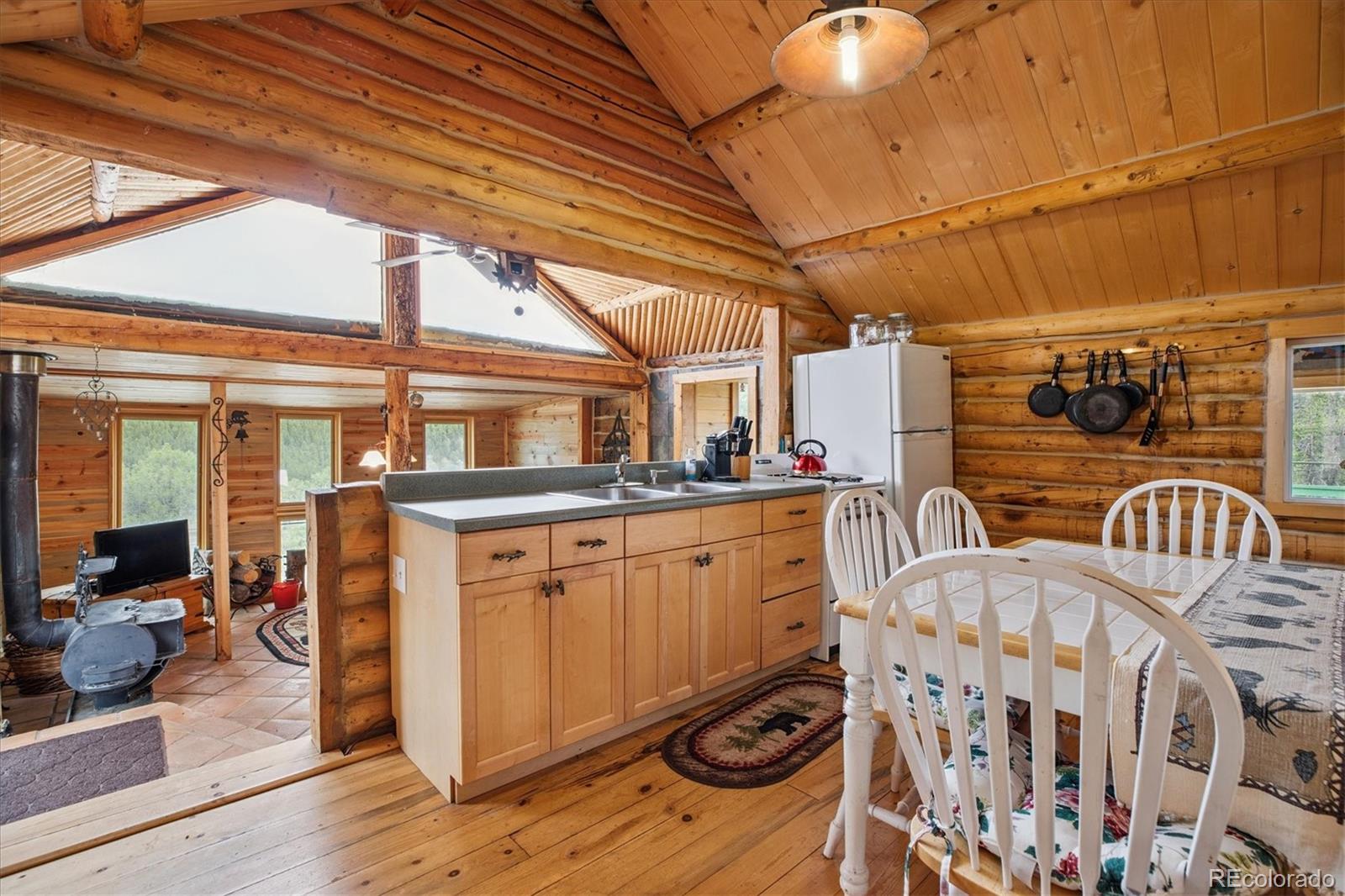 MLS Image #9 for 379  raven drive,idaho springs, Colorado