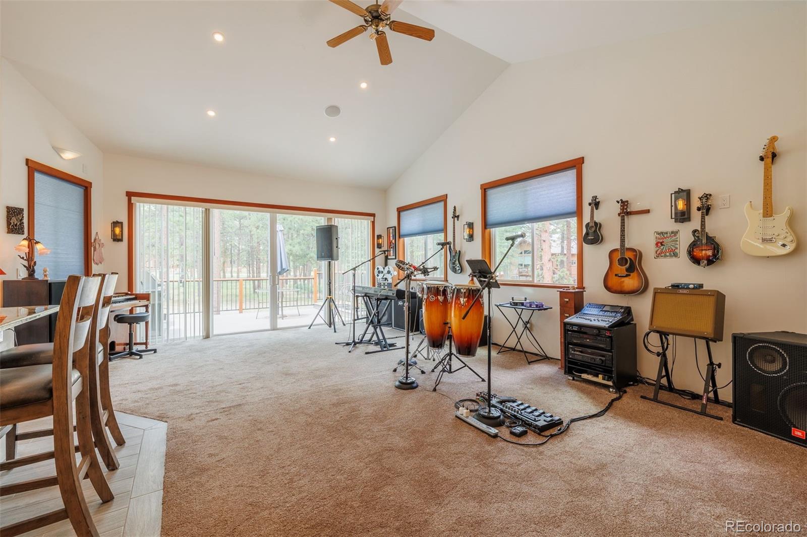 MLS Image #11 for 1251  woodland valley ranch drive,woodland park, Colorado