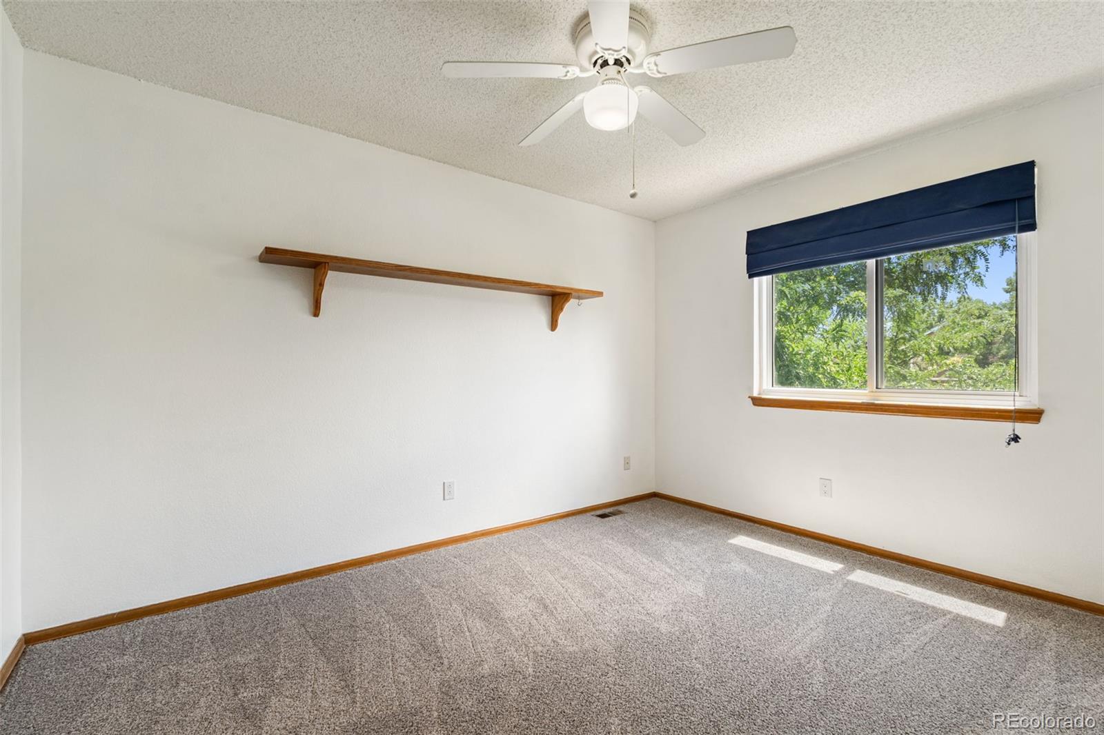 MLS Image #27 for 17018  carr avenue,parker, Colorado