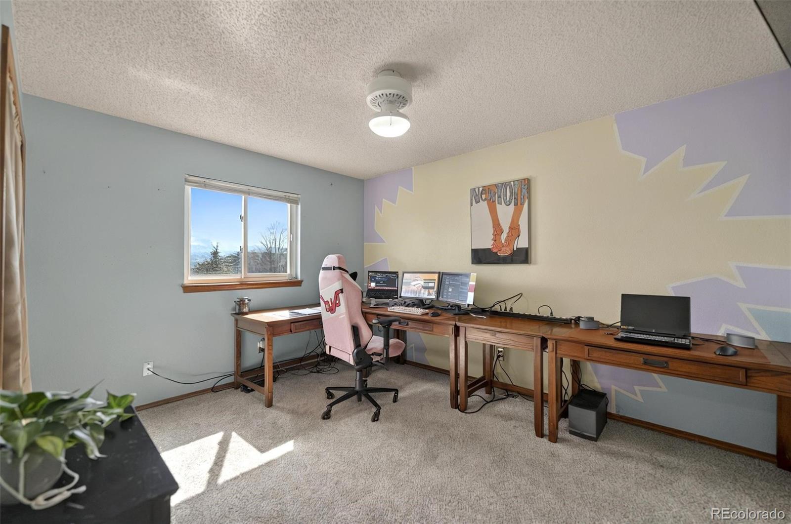MLS Image #28 for 9025  rochester drive,colorado springs, Colorado