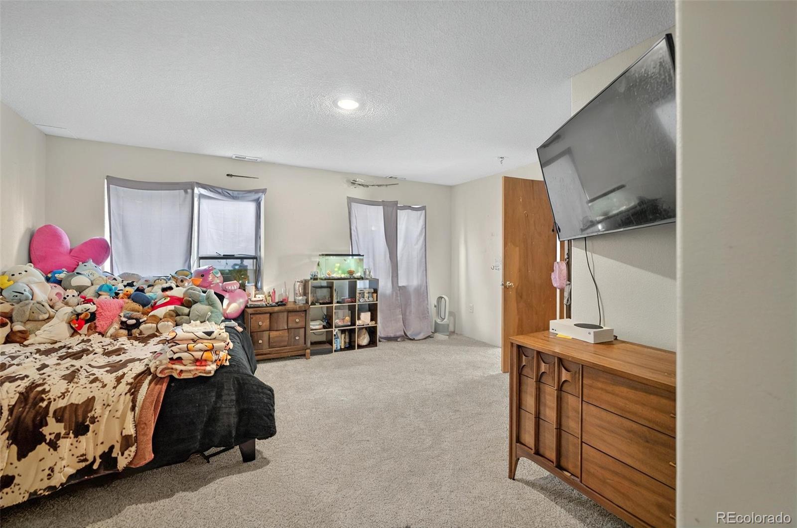 MLS Image #38 for 9025  rochester drive,colorado springs, Colorado