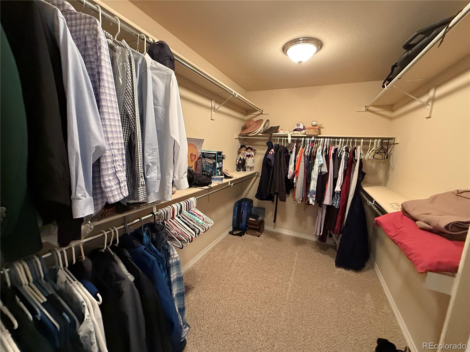 MLS Image #23 for 7407  pimlico drive,windsor, Colorado