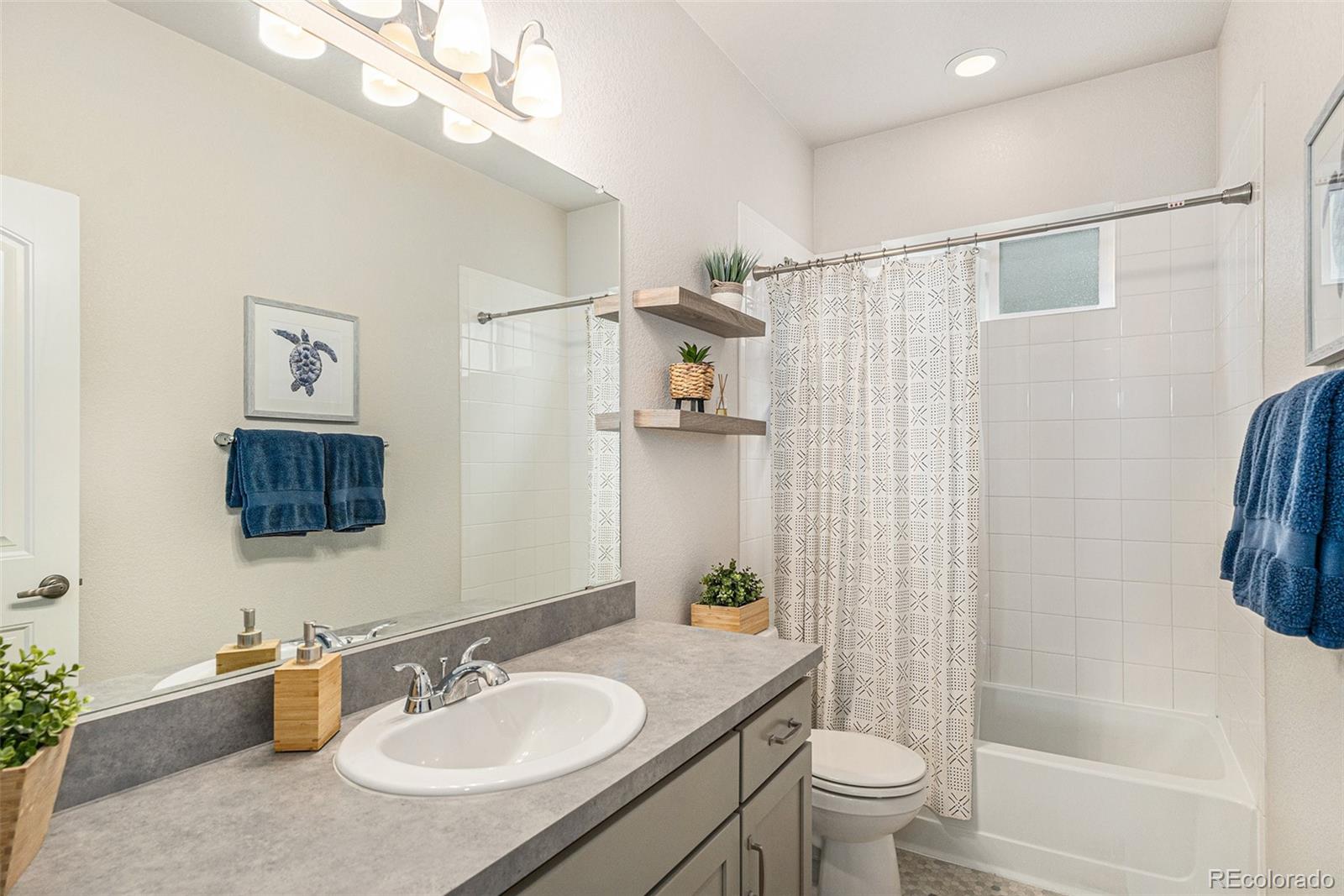 MLS Image #11 for 1221  basalt ridge loop,castle rock, Colorado