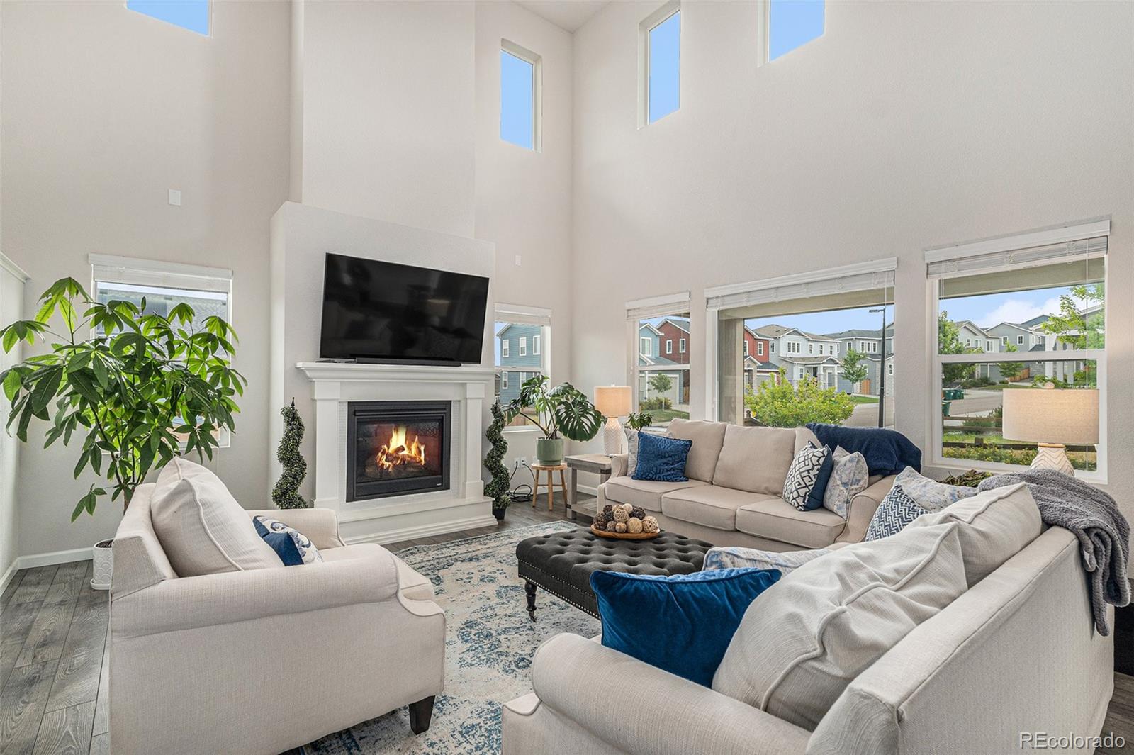 MLS Image #14 for 1221  basalt ridge loop,castle rock, Colorado