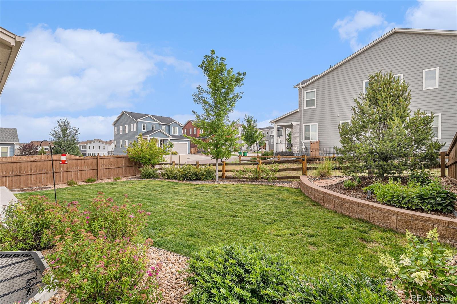MLS Image #16 for 1221  basalt ridge loop,castle rock, Colorado