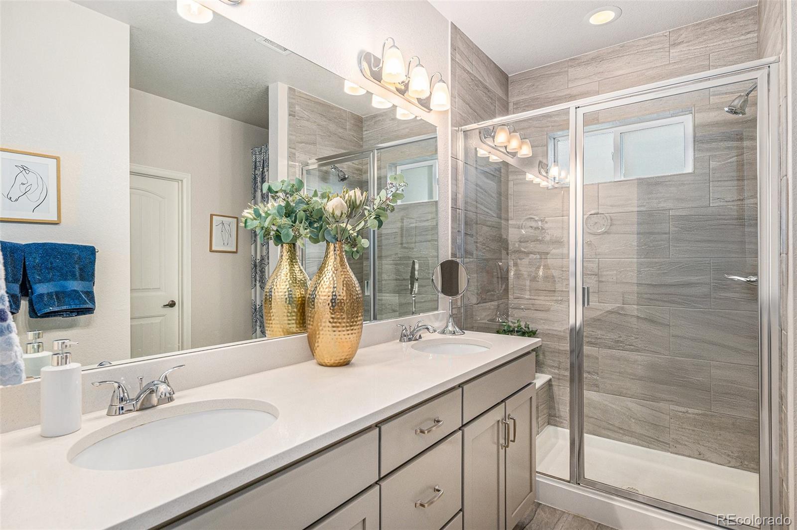 MLS Image #7 for 1221  basalt ridge loop,castle rock, Colorado