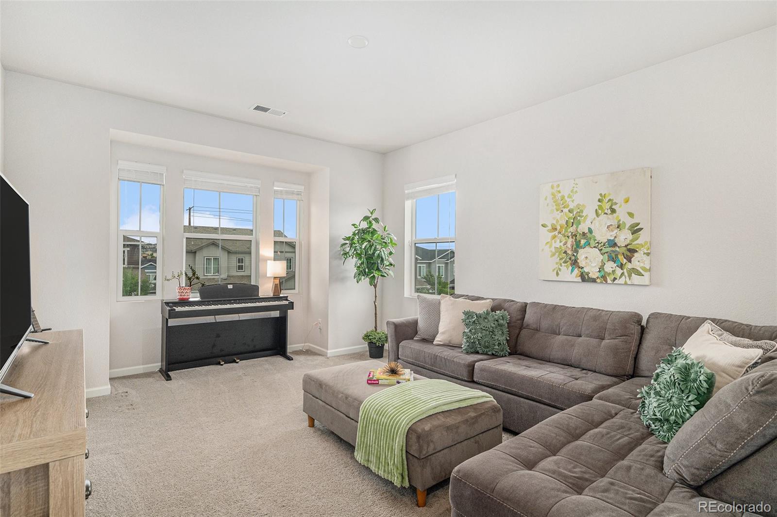 MLS Image #9 for 1221  basalt ridge loop,castle rock, Colorado