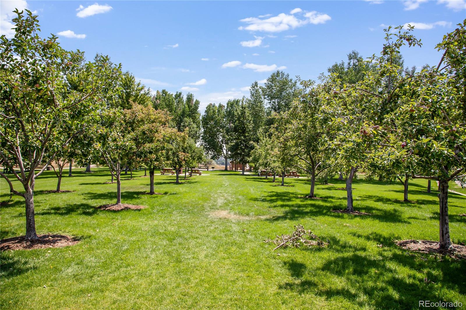 MLS Image #48 for 11776  perry street,westminster, Colorado